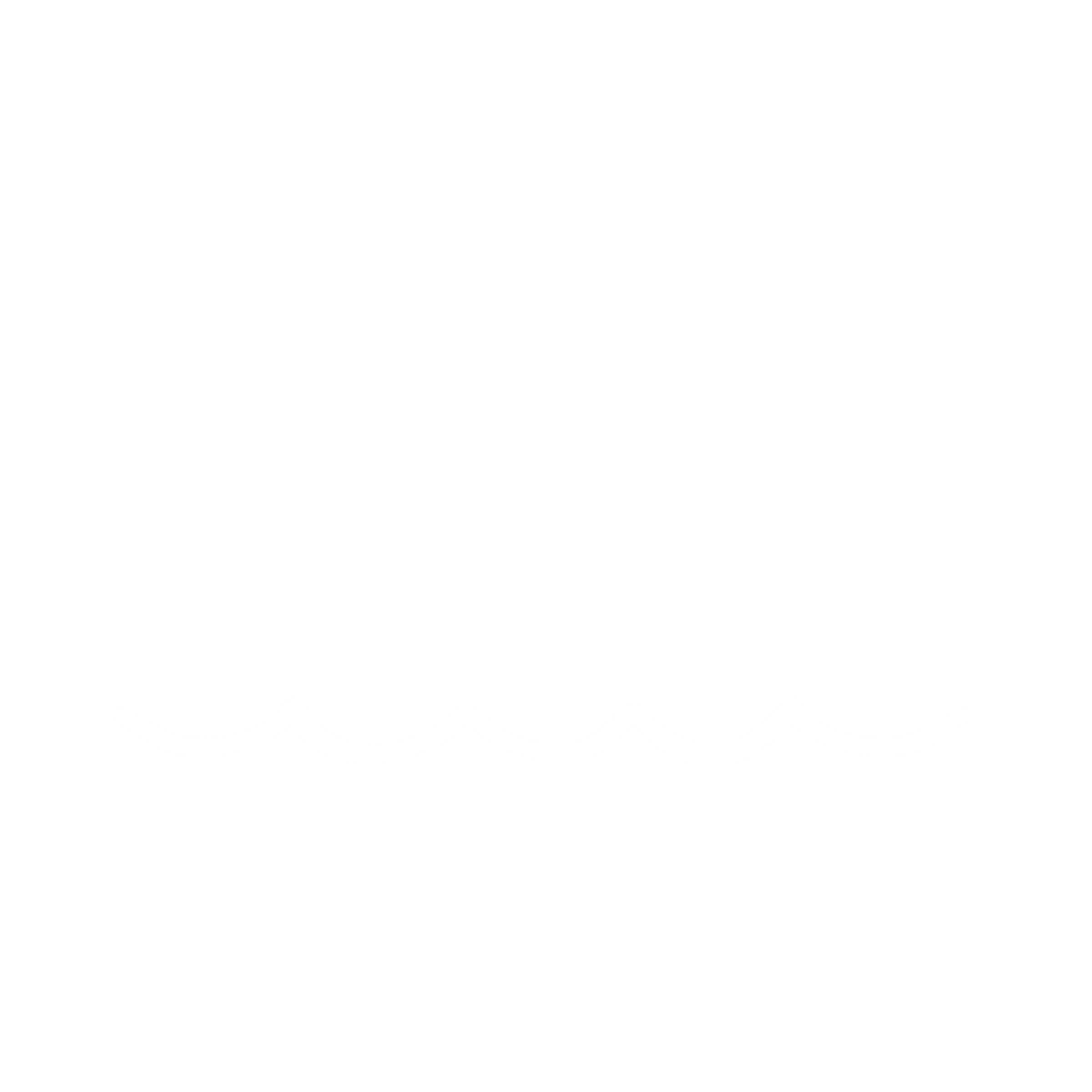 BiMimi Logo